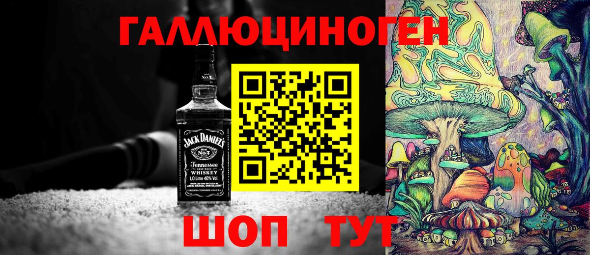 Галлюциногенные грибы MAGIC MUSHROOMS  Вход с VPN  Новозыбков 