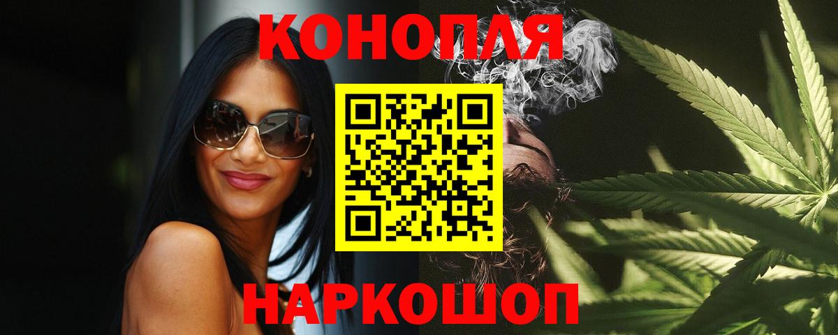 Бошки марихуана планчик  Конопля индика  Бошки Шишки тримм  Новозыбков  Вход с VPN 